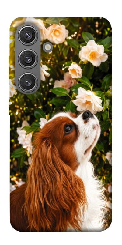 Чохол itsPrint Flower spaniel для Samsung Galaxy S24+, песики, купити оптом з доставкою