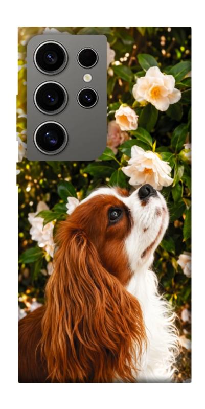 Чохол itsPrint Flower spaniel для Samsung Galaxy S24 Ultra, песики, купити оптом з доставкою