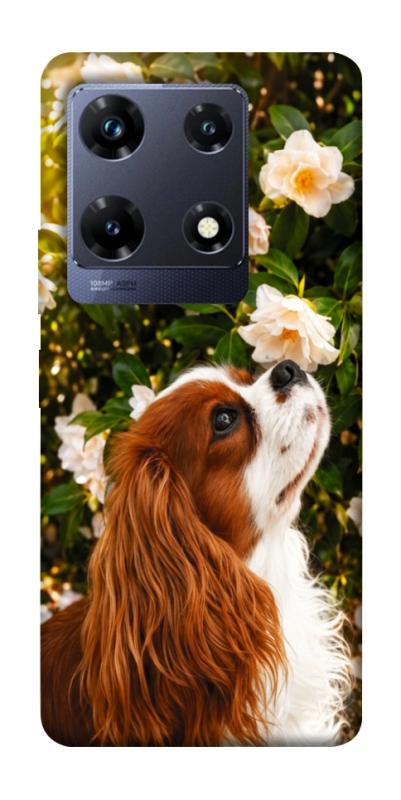 Чохол itsPrint Flower spaniel для Infinix Note 30 Pro, песики, купити оптом з доставкою