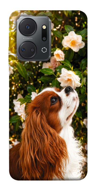 Чохол itsPrint Flower spaniel для Huawei Honor X7a, песики, купити оптом з доставкою