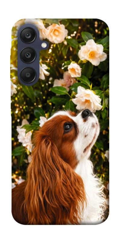 Чохол itsPrint Flower spaniel для Samsung Galaxy A25 5G, песики, купити оптом з доставкою