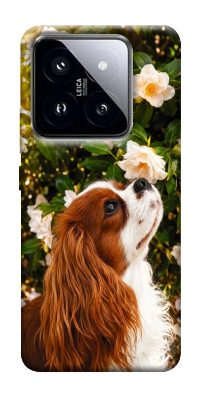 Чохол itsPrint Flower spaniel для Xiaomi 14 Pro, песики, купити оптом з доставкою
