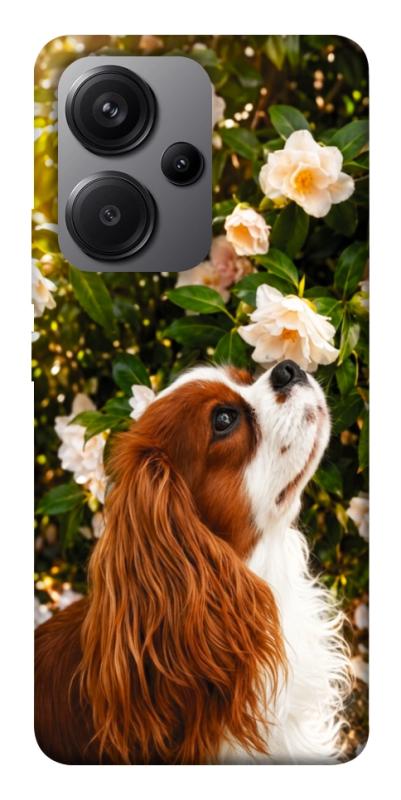Чохол itsPrint Flower spaniel для Xiaomi Redmi Note 13 Pro+, песики, купити оптом з доставкою