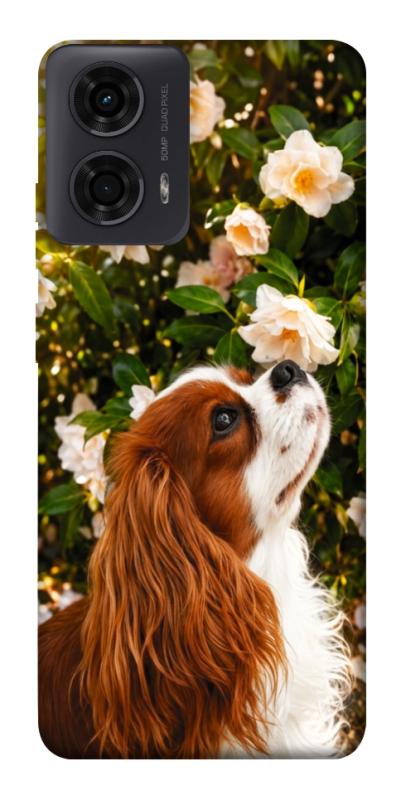 Чохол itsPrint Flower spaniel для Motorola Moto G24, песики, купити оптом з доставкою