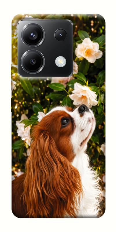 Чохол itsPrint Flower spaniel для Xiaomi Poco X6, песики, купити оптом з доставкою