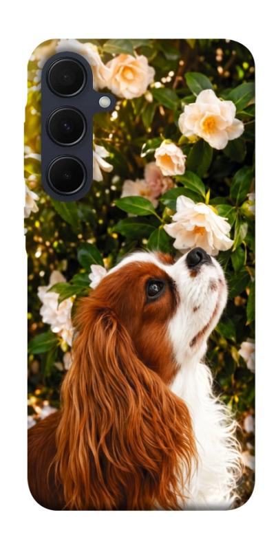 Чохол itsPrint Flower spaniel для Samsung Galaxy A35, песики, купити оптом з доставкою