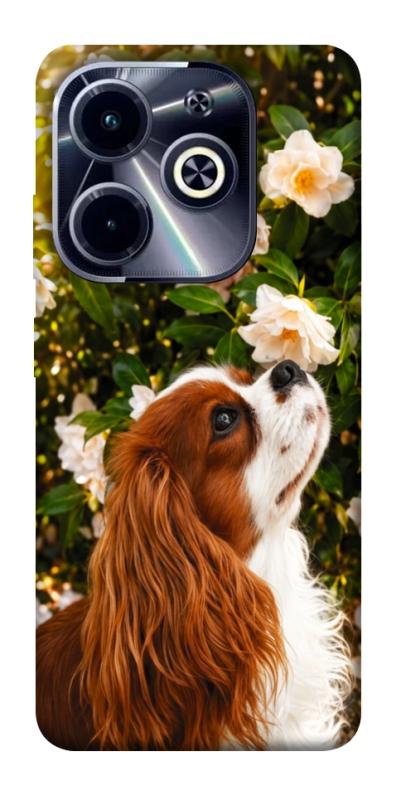 Чохол itsPrint Flower spaniel для Infinix Hot 40i, песики, купити оптом з доставкою
