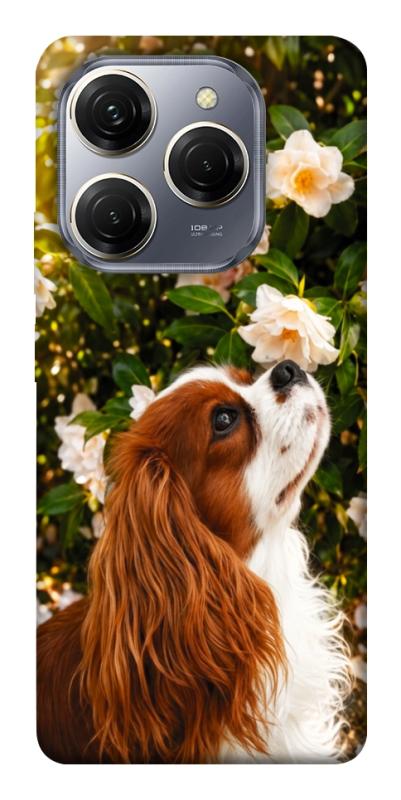Чохол itsPrint Flower spaniel для TECNO Spark 20 Pro, песики, купити оптом з доставкою