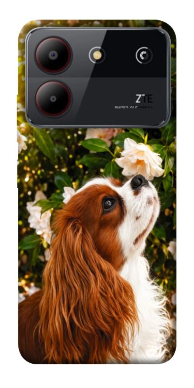 Чохол itsPrint Flower spaniel для ZTE Blade A54 4G, песики, купити оптом з доставкою