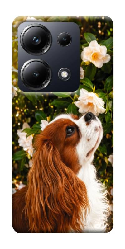 Чохол itsPrint Flower spaniel для Xiaomi Redmi 13 4G / Poco M6 4G, песики, купити оптом з доставкою