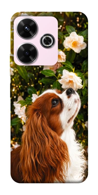 Чохол itsPrint Flower spaniel для Xiaomi Redmi 13 4G / Poco M6 4G, песики, купити оптом з доставкою