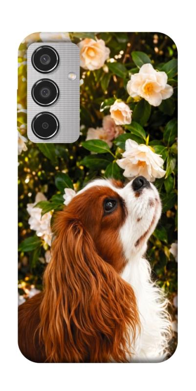 Чохол itsPrint Flower spaniel для Samsung Galaxy M35 5G, песики, купити оптом з доставкою