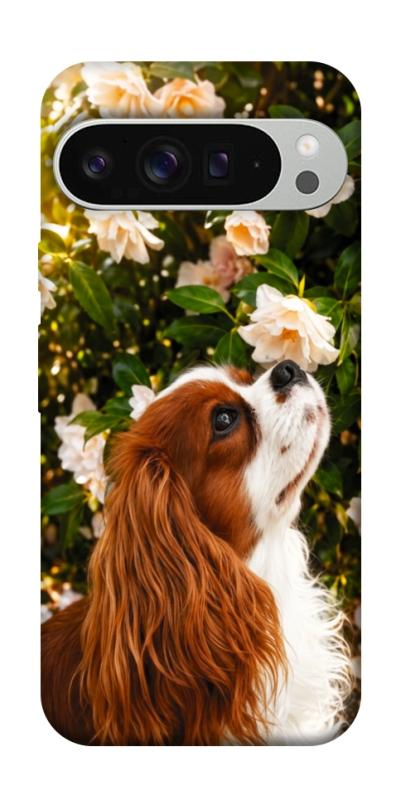 Чохол itsPrint Flower spaniel для Google Pixel 9 Pro XL, песики, купити оптом з доставкою