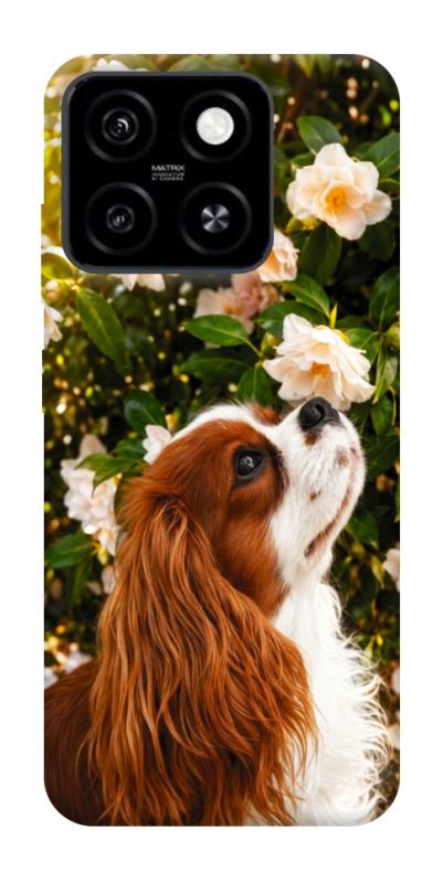 Чохол itsPrint Flower spaniel для ZTE Blade A55 4G, песики, купити оптом з доставкою