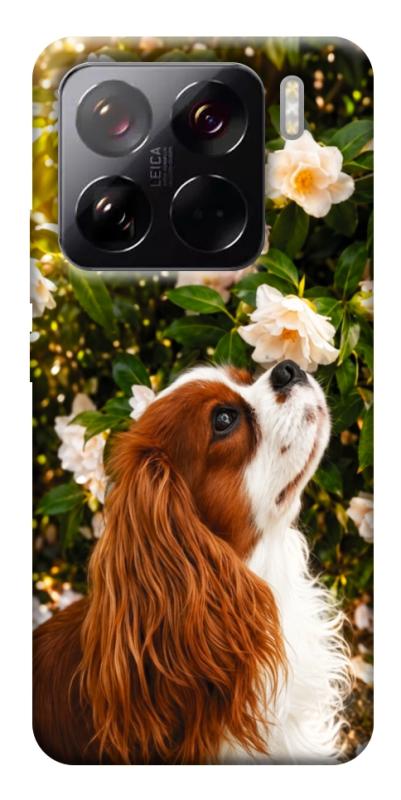 Чехол itsPrint Flower spaniel для Xiaomi 15 Pro, песики, купить оптом с доставкой