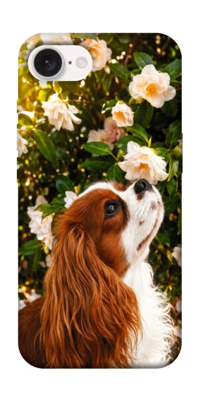 Чехол itsPrint Flower spaniel для Apple iPhone 16e (6.1"), песики, купить оптом с доставкой