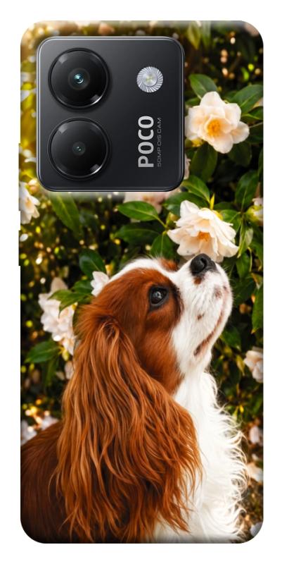 Чехол itsPrint Flower spaniel для Xiaomi Poco M7 Pro 5G, песики, купить оптом с доставкой