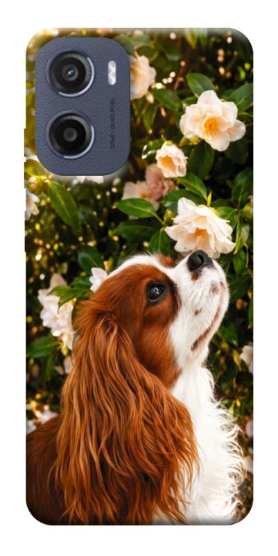 Чехол itsPrint Flower spaniel для Motorola Moto G05, песики, купить оптом с доставкой