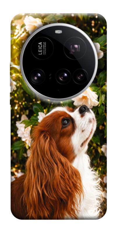 Чохол itsPrint Flower spaniel для Xiaomi 15 Ultra, песики, купити оптом з доставкою