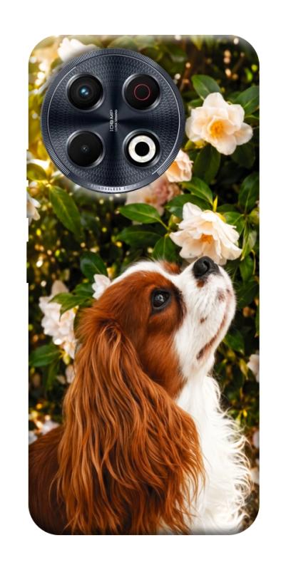 Чехол itsPrint Flower spaniel для TECNO Spark 30 Pro (KL7), песики, купить оптом с доставкой