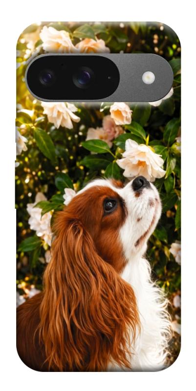 Чехол itsPrint Flower spaniel для Google Pixel 10, песики, купить оптом с доставкой