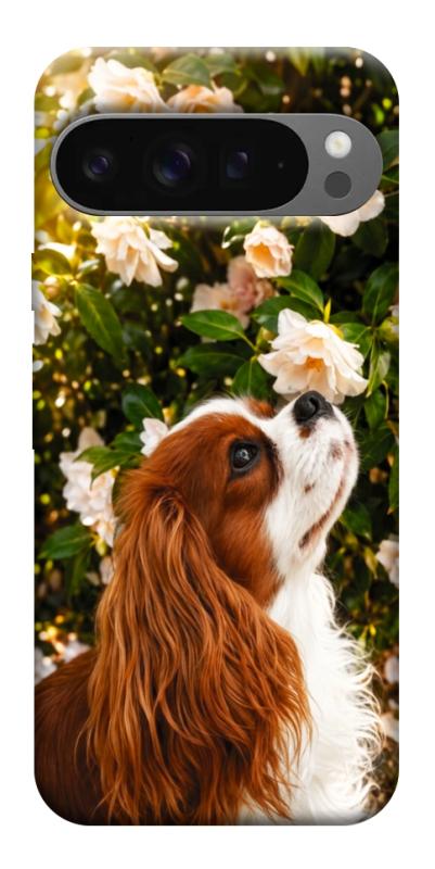 Чехол itsPrint Flower spaniel для Google Pixel 10 Pro XL, песики, купить оптом с доставкой
