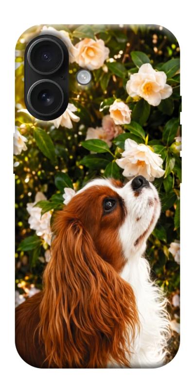 Чехол itsPrint Flower spaniel для Apple iPhone 17 (6.3"), песики, купить оптом с доставкой
