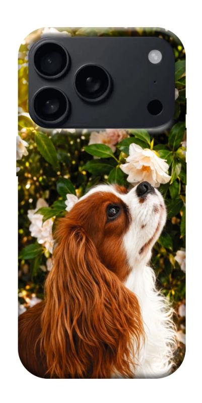 Чехол itsPrint Flower spaniel для Apple iPhone 17 Pro Max (6.9"), песики, купить оптом с доставкой