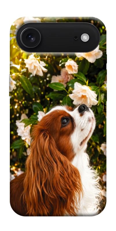 Чехол itsPrint Flower spaniel для Apple iPhone 17 Air (6.5"), песики, купить оптом с доставкой
