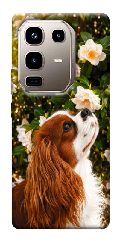 Чохол itsPrint Flower spaniel для Infinix Note 50 Pro 4G, песики, купити оптом з доставкою