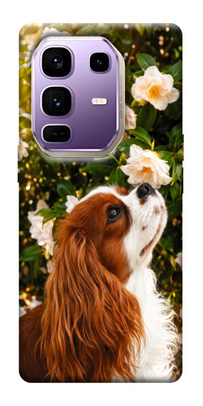 Чохол itsPrint Flower spaniel для Infinix Note 50 Pro+, песики, купити оптом з доставкою
