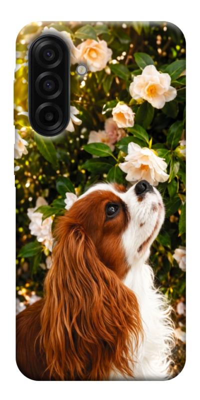 Чехол itsPrint Flower spaniel для Samsung Galaxy A17 5G/4G, песики, купить оптом с доставкой