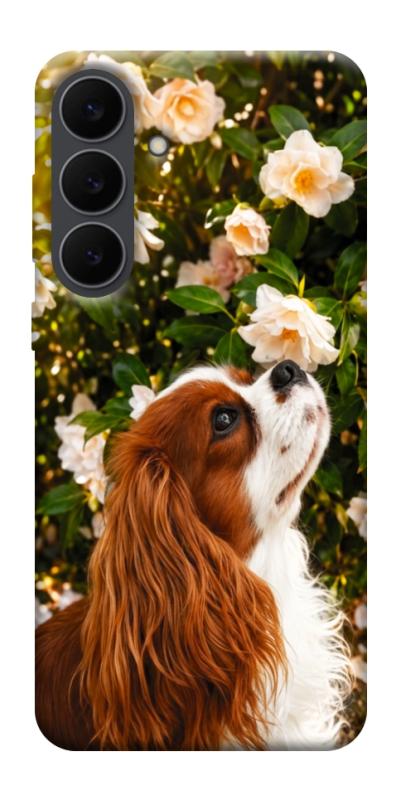 Чехол itsPrint Flower spaniel для Samsung Galaxy S25 FE, песики, купить оптом с доставкой