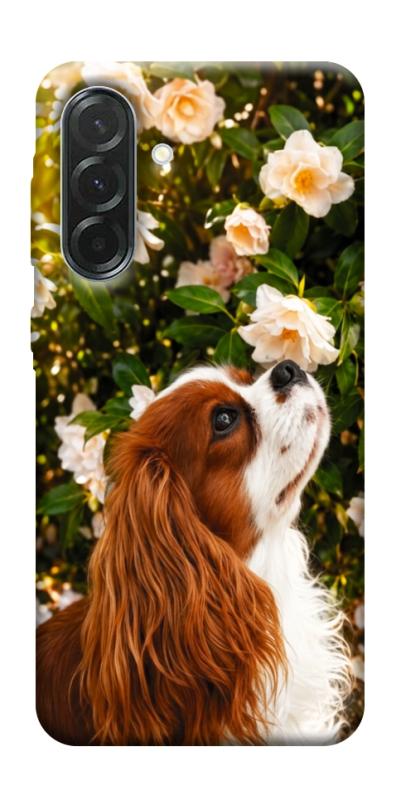 Чехол itsPrint Flower spaniel для Samsung Galaxy A57 5G, песики, купить оптом с доставкой