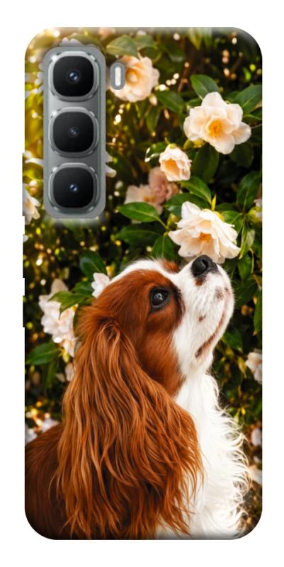 Чехол itsPrint Flower spaniel для Infinix Hot 60 Pro+, песики, купить оптом с доставкой