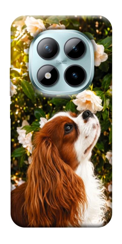 Чохол itsPrint Flower spaniel для Xiaomi Redmi Note 15 Pro+ 5G, песики, купити оптом з доставкою