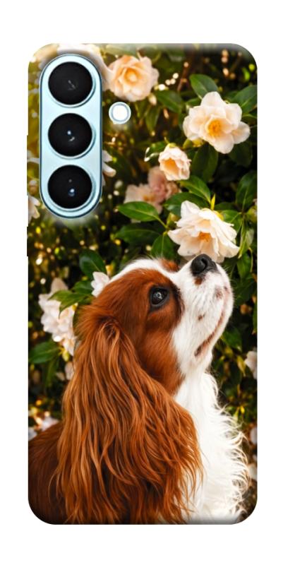 Чохол itsPrint Flower spaniel для Samsung Galaxy S26, песики, купити оптом з доставкою