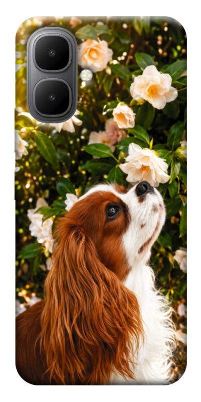 Чохол itsPrint Flower spaniel для Infinix Smart 10, песики, купити оптом з доставкою