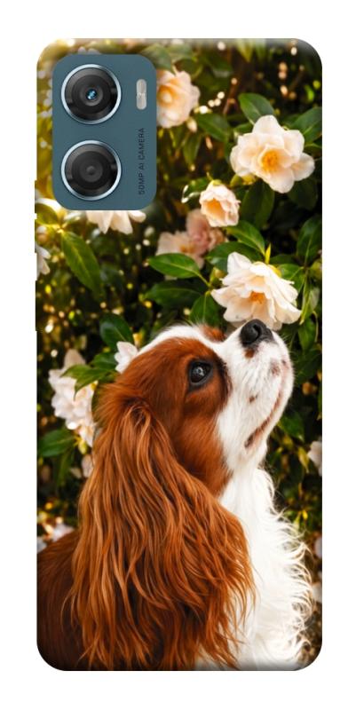 Чехол itsPrint Flower spaniel для Motorola Moto G06, песики, купить оптом с доставкой
