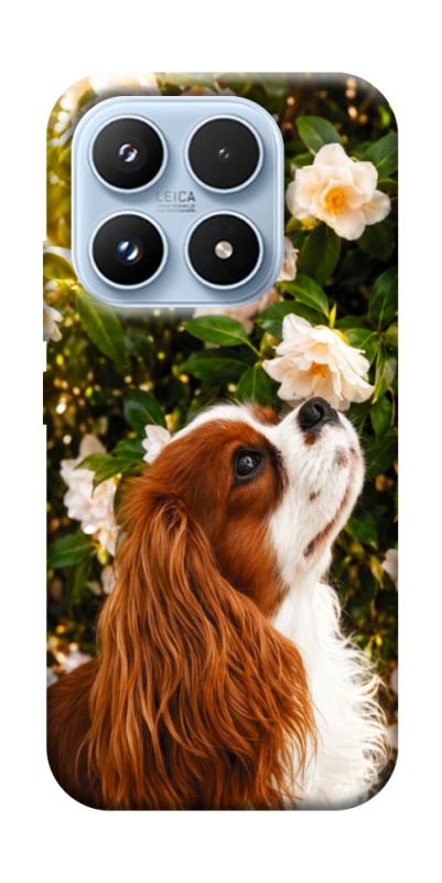 Чехол itsPrint Flower spaniel для Xiaomi 17 Pro, песики, купить оптом с доставкой