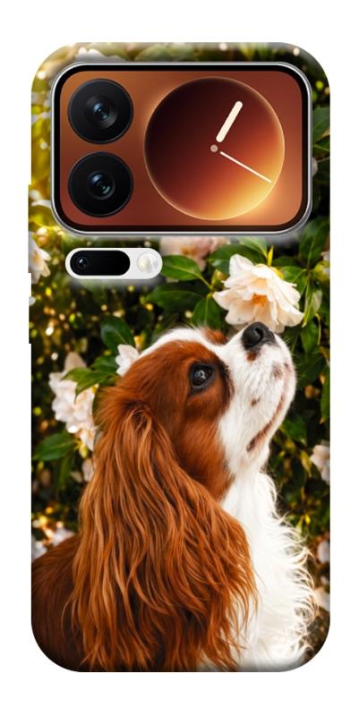 Чехол itsPrint Flower spaniel для Xiaomi 17 Pro Max, песики, купить оптом с доставкой