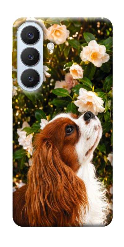 Чехол itsPrint Flower spaniel для Samsung Galaxy S26+, песики, купить оптом с доставкой