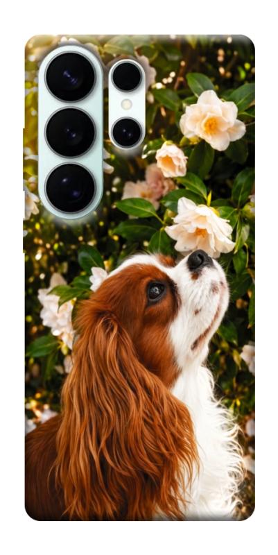 Чехол itsPrint Flower spaniel для Samsung Galaxy S26 Ultra, песики, купить оптом с доставкой