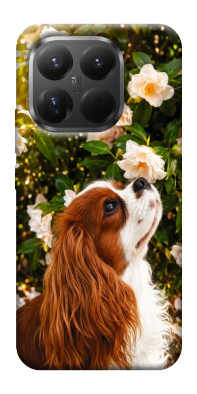 Чехол itsPrint Flower spaniel для Xiaomi 15T Pro, песики, купить оптом с доставкой
