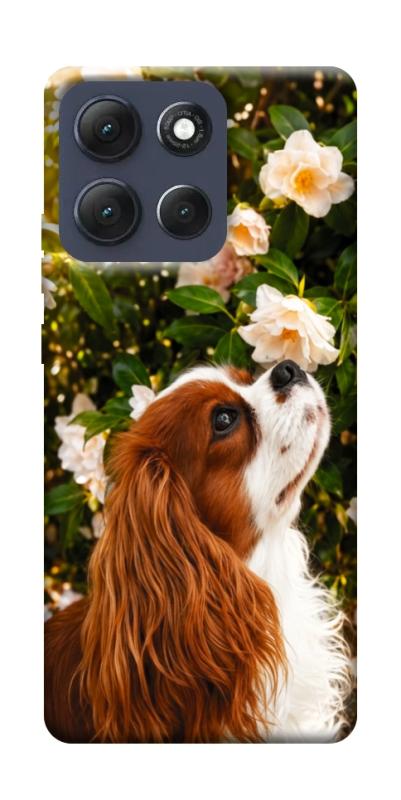 Чехол itsPrint Flower spaniel для Motorola Moto G86 Power, песики, купить оптом с доставкой