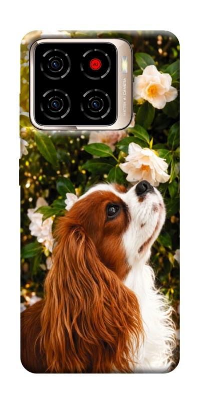 Чохол itsPrint Flower spaniel для ZTE Blade A56, песики, купити оптом з доставкою