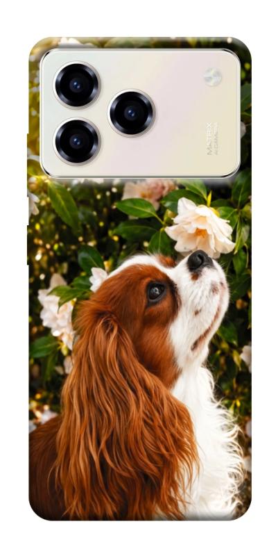 Чехол itsPrint Flower spaniel для ZTE Blade A76, песики, купить оптом с доставкой