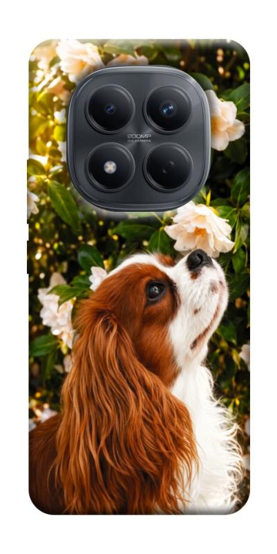 Чохол itsPrint Flower spaniel для Xiaomi Redmi Note 15 4G/5G (EU), песики, купити оптом з доставкою