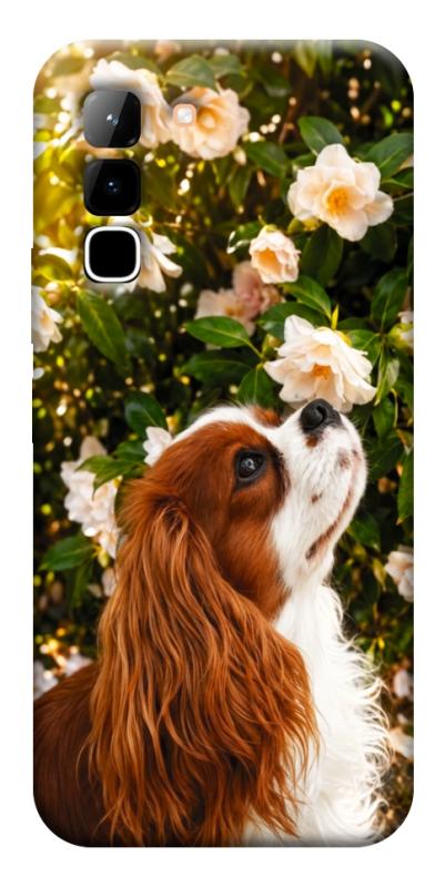 Чехол itsPrint Flower spaniel для Infinix Hot 70, песики, купить оптом с доставкой
