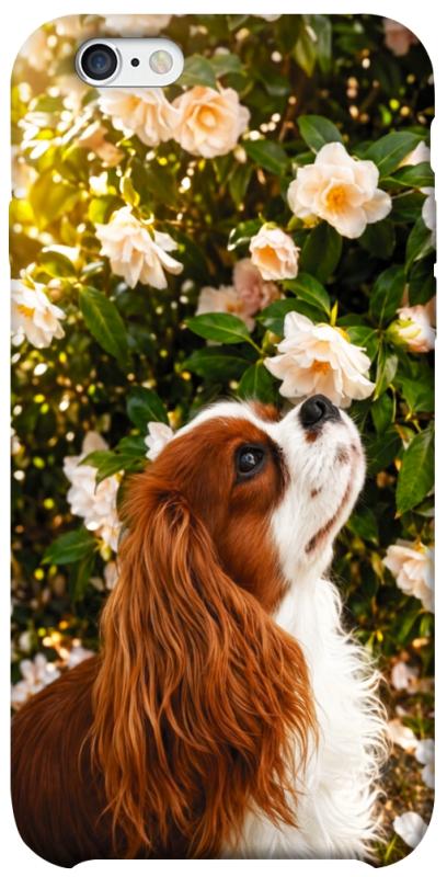 Чохол itsPrint Flower spaniel для Apple iPhone 6/6s (4.7"), песики, купити оптом з доставкою